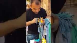 Рисует картины пальцем на стекле!!!!!