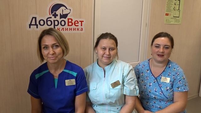 Коллектив клиники ДоброВет г.Гай поздравляет коллег с профессиональным праздником смотреть онлайн