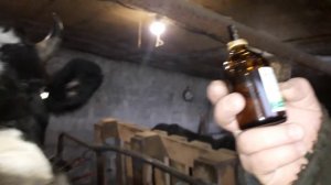 НЕОБХОДИМЫЕ ДОБАВКИ!ВИТАМИНЫ ДЛЯ КОРОВ!