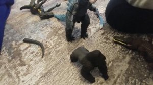 Кинг Конг против Годзиллы 5. Остров черепа