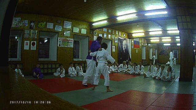 Дзюдо. 5.2 урок: "Подхват силовой"