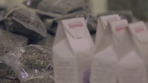 Крымская стевия, натуральный сахарозаменитель. Все, что вы хотели узнать о стевии.