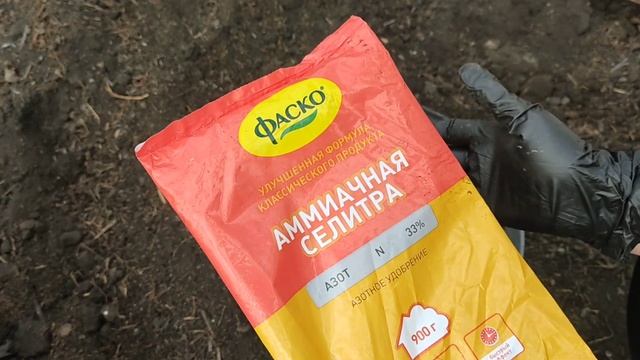 Хризантема мультифлора. Высадка  черенка в кашпо и грунт. Уход за хризантемой после пересадки!!!