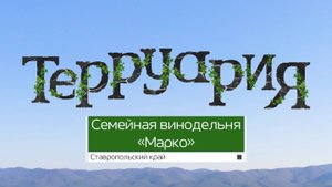 Терруария №01. Семейная винодельня «Марко»