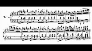 Johann Strauss Sr. - Alice Polka Op. 238