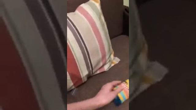 №3 Urino destroer Уберет все неприятные запахи смотреть онлайн