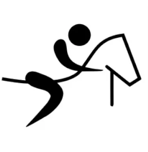 ОЛИМПИАДА. ЛЕТНИЕ ВИДЫ СПОРТА. КОННЫЙ СПОРТ.