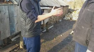 Бизнес на кроликах!Почему это утопия?