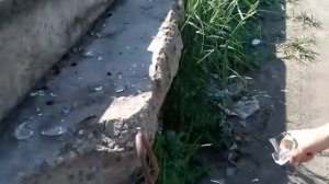 Разбить стеклянную бутылку разными способоми
