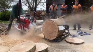 Бензопила в8-chainsaw B8