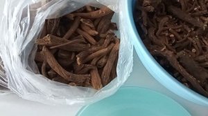 Как отличить корень Лопуха от корня Одуванчика