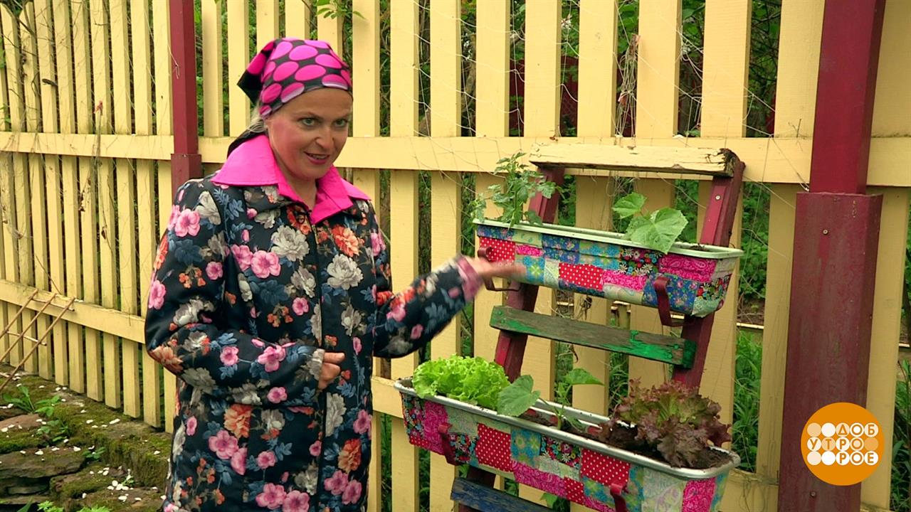 Вертикальный огород и другие дачные тренды. Доброе утро. Фрагмент выпуска от 29.05.2019