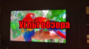 Обзор и Опыт использования TCL 55P725 / Бюджетный 4К телевизор /  Особенности и нюансы TCL P725