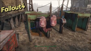 Fallout 4. А хотел поймать кошку)