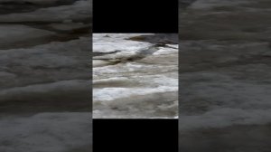 1000001050.mp4