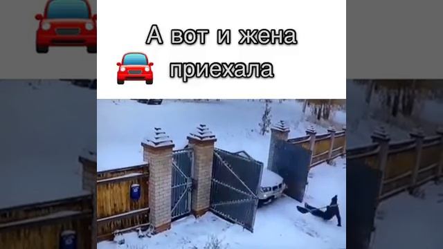 Решил открыть ворота любимой жене! смотреть онлайн