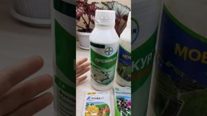 Чем обрабатываю растения от вредителей.