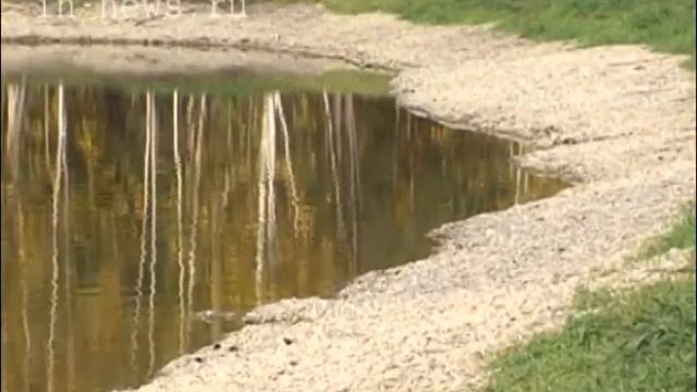 Фигуры и скульптуры (ВЦС от 20.06.14) смотреть онлайн