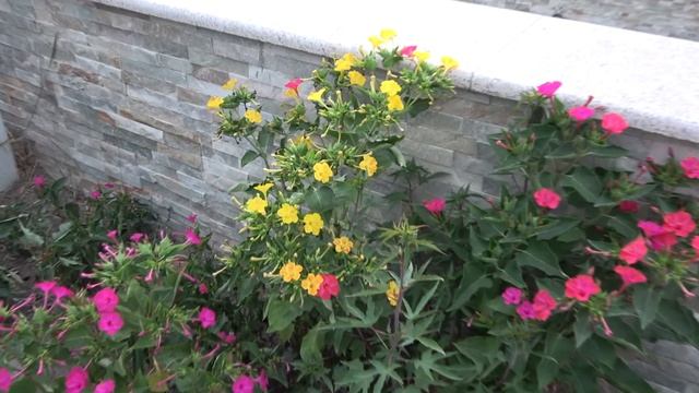 #АНАПА Новая Набережная и Ореховая роща ? LIVE 222