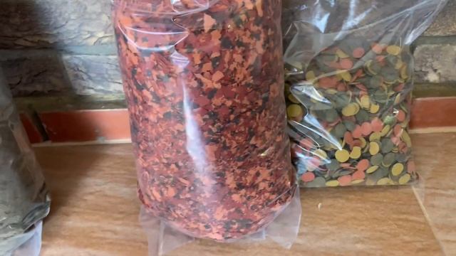 Сухой корм для рыбок смотреть онлайн