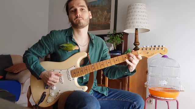 "Human Nature" - Michael Jackson (Guitar Cover with Funny Bird - Fender Stratocaster) смотреть онлайн