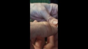 Ремонт кнопки света Вок-3 от холодильника Мир и аналогов