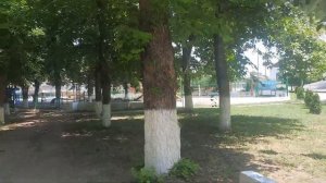 Народный парк в Станице Выселки Краснодарский край