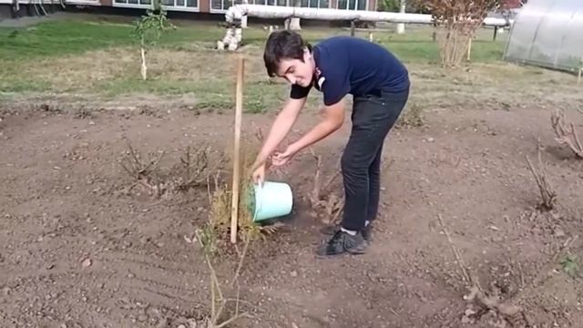 Экологический марафон смотреть онлайн