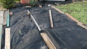 Два способа борьбы с заросшими участками травой