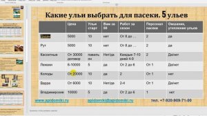 Пчеловодство как бизнес. Бизнес план пасеки - за 3-7 лет доход от 1000000 рублей в год
