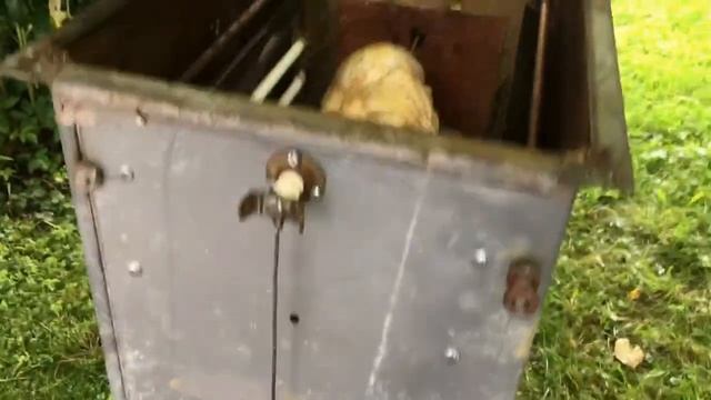 МИНИ КУРА ГРИЛЬ смотреть онлайн