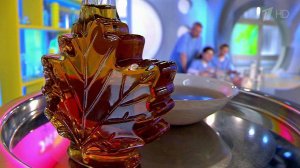 Кленовый сироп. Не мед и не сахар. Жить здорово! Фрагмент выпуска от 29.07.2016