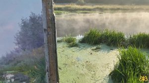 Алексей Ефремов обзор работ (часть 4)