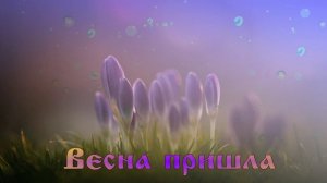 Футаж. Весна пришла 14