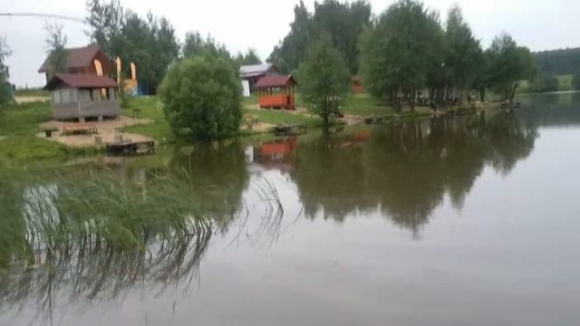 Карп на селедку. смотреть онлайн