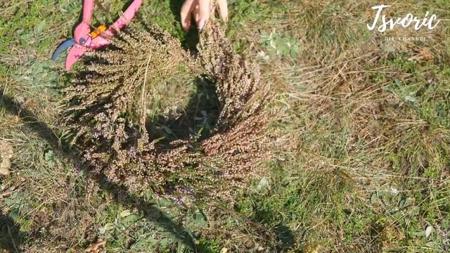 Heather Wreath / Как сплести венок из вереска // DIY TSVORIC