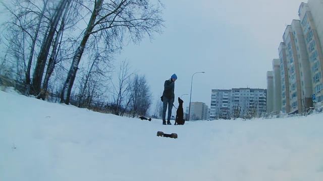 Команада "Апорт" с командами управления - Улица смотреть онлайн