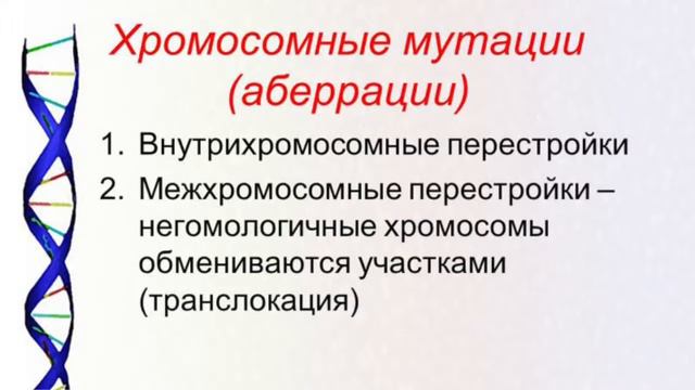 Изменчивость. Часть 2