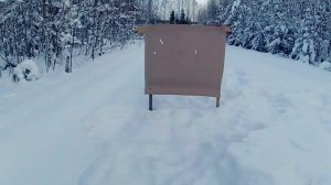 Пуля "ЗВЕРОБОЙ" 20 калибра на 50 метров/ИЖ-43 16 калибр/