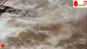 Balaa la Joka ANACONDA vs CHUI JAGUAR NA BLACK PANTHER WALILIBATUA JOKA  ANACONDA VS JAGUAR FIGHT T