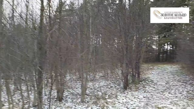 Осеннее видео участка 8 соток в СНТ Ручеек, район ЦРММ, гор. Александров.