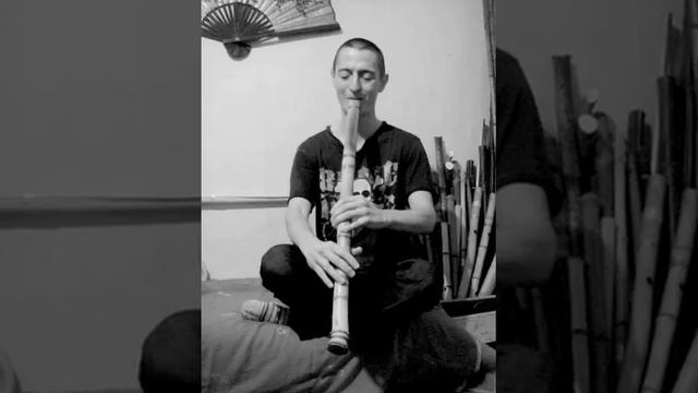 Японская флейта Сякухачи корневая shakuhachi