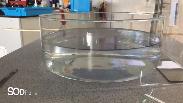 Reactions of group 1 metals смотреть онлайн