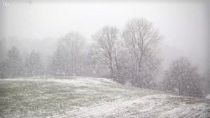 По следам зверя – случай в тайге. Таежные истории и байки. Жизненные истории