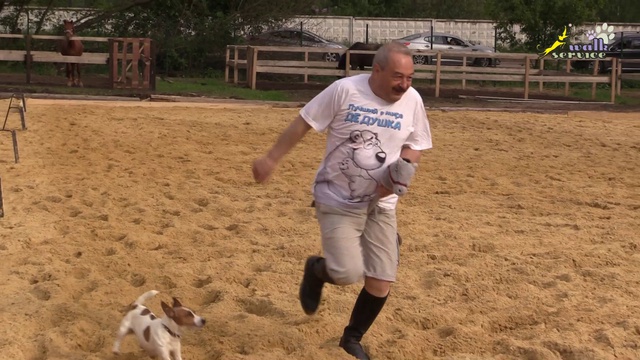 Танец маленьких лебедей смотреть онлайн