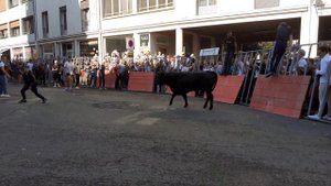 Коррида на улицах города Арля во Франции