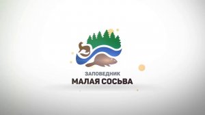 Соболь. @заповедник "Малая Сосьва",2020