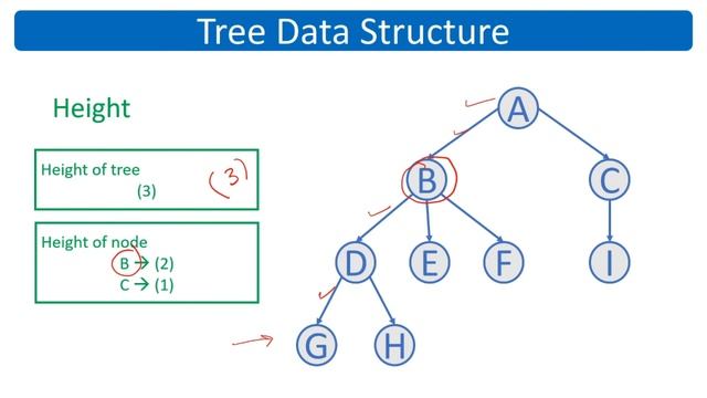 Tree Data Structure | Binary Tree | Sinhala