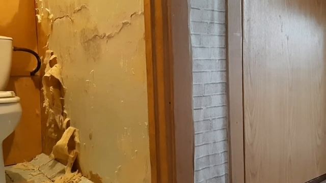 часть 1 ПЕРЕДЕЛКА СТАРОГО ТУАЛЕТА| БЮДЖЕТНАЯ ПЕРЕДЕЛКА В СЪЁМНОЙ КВАРТИРЕ| ВСЁ СВОИМИ РУКАМИ