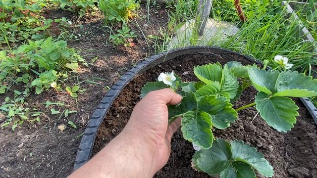 Не было возможности РАБОТАТЬ смотреть онлайн